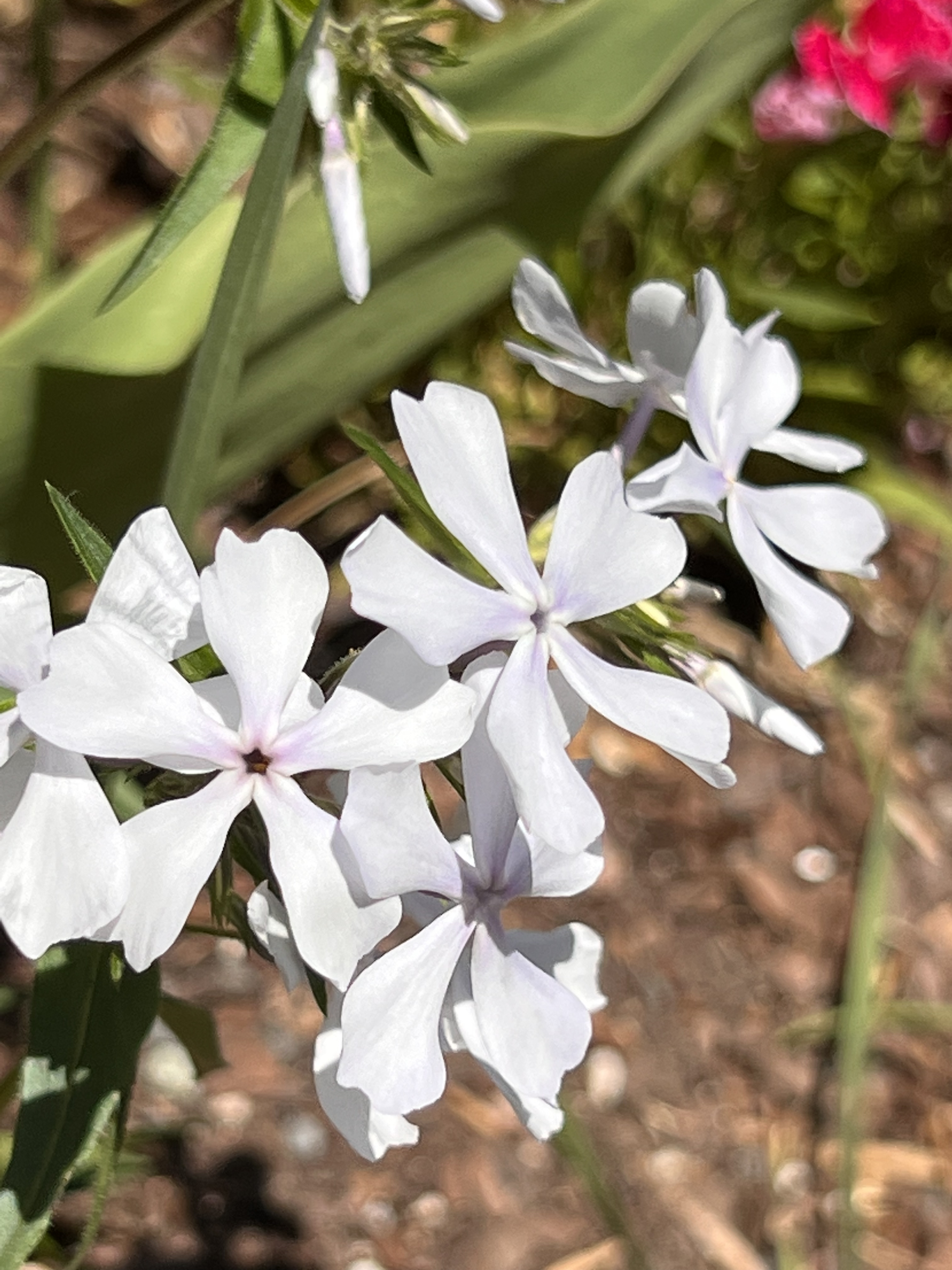 ./2023/05 - Toni Adventures/IMG_3214.jpg